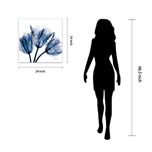 TMP-AK011A-2424 Blue Tulip X-Ray Flower Wall Art on Frameless Free Floating Tempered Glass Panel Ready to Hang, Living Room, Bedroom ＆ Office, 24" x 24" x 0.2"