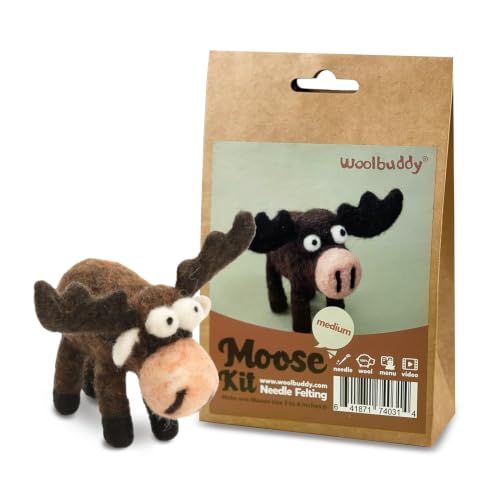 Needle Felting Starter Kit