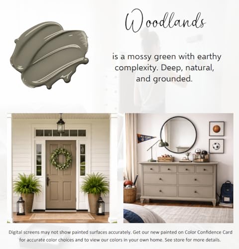 ALL-IN-ONE Paint by Heirloom Traditions, Woodlands, 8oz Sample (8 Fl Oz)
