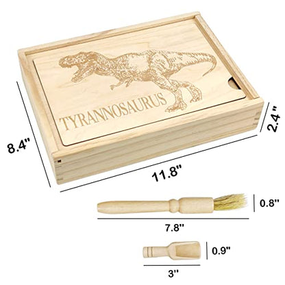 Dinosaur Excavation Archaeology Dig Kit for Kids