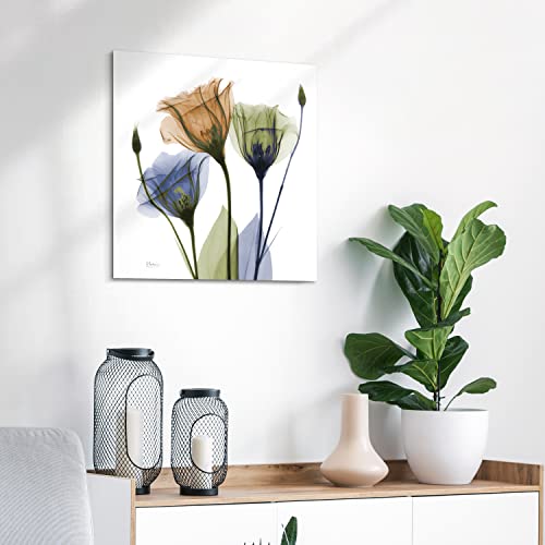 Frameless Free Floating Tempered Glass Panel Graphic Wall Art Ready to Hang
