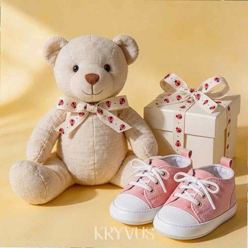 Ladybug Cotton Ribbon 3 (36 Foot)
