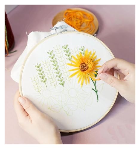 Needle Point Kits Adults Full Range of Starter Including Instructions Stamped Cloth with Pattern Hoop Color Threads and Tools Art Projects