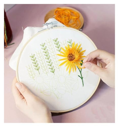 Needle Point Kits Adults Full Range of Starter Including Instructions Stamped Cloth with Pattern Hoop Color Threads and Tools Art Projects
