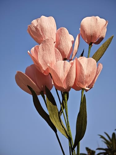 Pink Crepe Paper Tulip for Home Decor DIY Kit with Floral Tape & 12 Wire Stems DIY Craft Projects Crepe Paper Flower (217 Count)