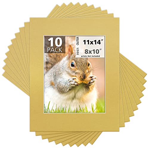 Mat Board Center 10 Pack 11x14 Photo Mats for 8x10 Picture (10 Count)