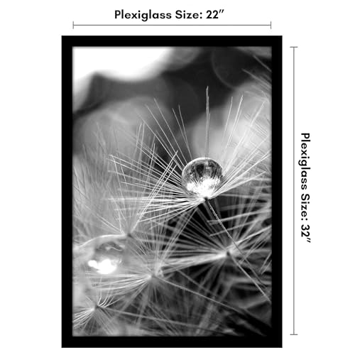 22x32 Poster Frame