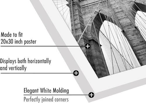 20x30 Poster Frame