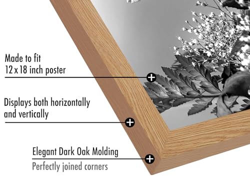12x18 Poster Frame