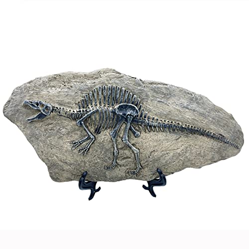 Resin Spinosaurus Dinosaur Fossil Statue Model Simulated Skeleton Home Office Display Decorative Craft Box Decoration