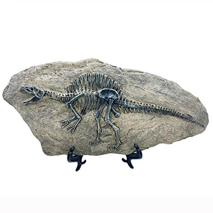 Resin Spinosaurus Dinosaur Fossil Statue Model Simulated Skeleton Home Office Display Decorative Craft Box Decoration