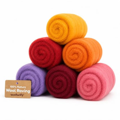 Wool Roving Kit for Needle Felting
