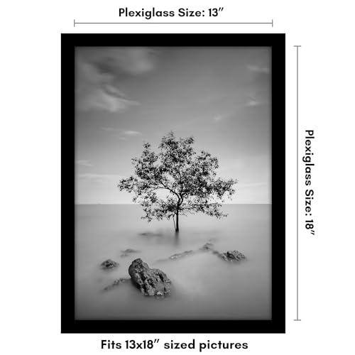 13x18 Poster Frame