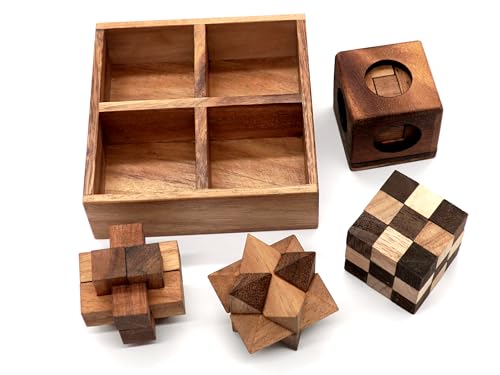 4 in 1 Wooden Brain Teaser Puzzles for Adults (4 Count)