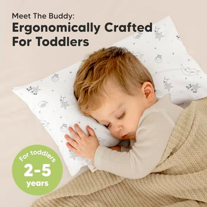 Toddler Pillow with Pillowcase
