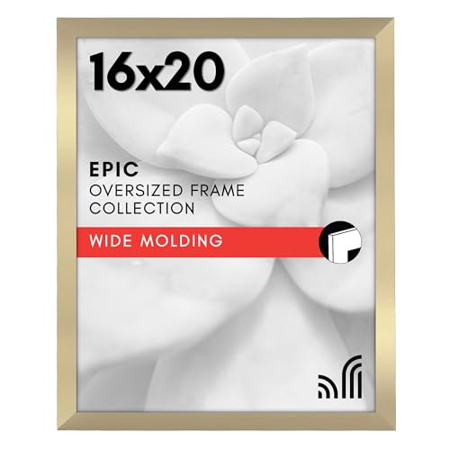 16x20 Poster Frame