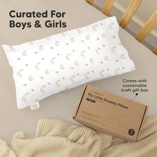 Toddler Pillow with Pillowcase