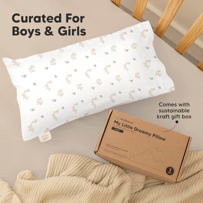 Toddler Pillow with Pillowcase