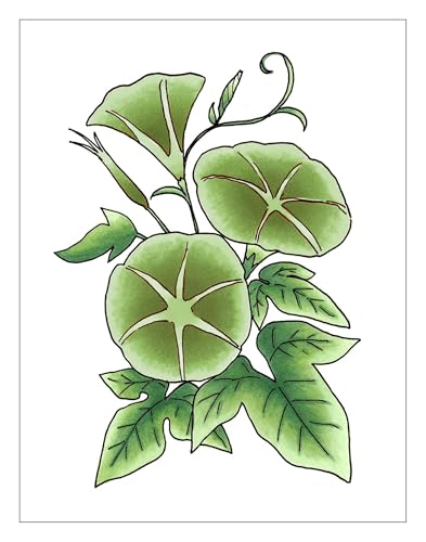 Sketch Fusion #5 Green 3 (3 Count)