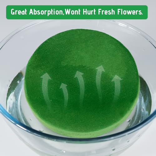 6Pcs Floral Foam Round Blocks (6 Count)