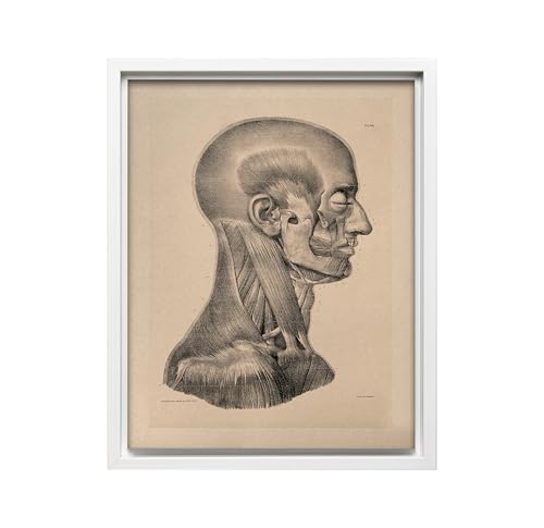 Vintage Science Canvas