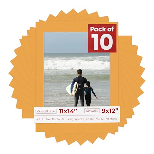 Pack of TEN 11x14 Mats Bevel Cut for 9x12 Photos (10 Count)