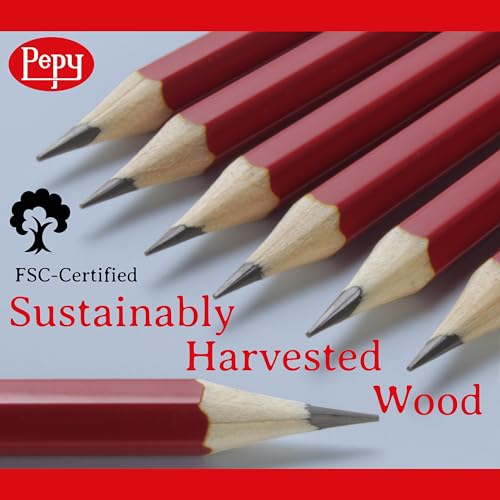 Graphite Professional Drawing Pencils (12 Count)