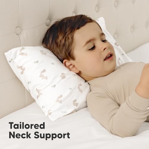 Toddler Pillow with Pillowcase