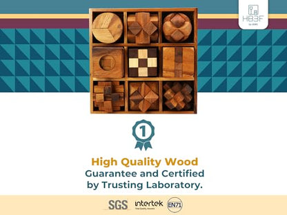 9 in 1 Wooden Brain Teaser Puzzles for Adults Teens Box Set Wood Hard Level 10 Impossible Mind Wood Brain Teaser Games 3D Hand Puzzle Sets for Decoration and Mini Toys (9 Count)