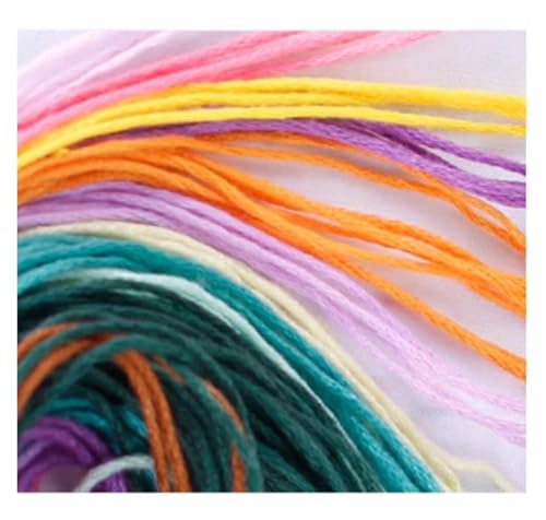 Needle Point Kits Adults Full Range of Starter Including Instructions Stamped Cloth with Pattern Hoop Color Threads and Tools Art Projects
