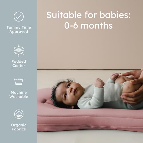 Organic Newborn Baby Infant Lounger Pillow & Travel Bag