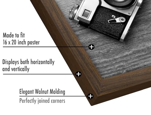 16x20 Poster Frame
