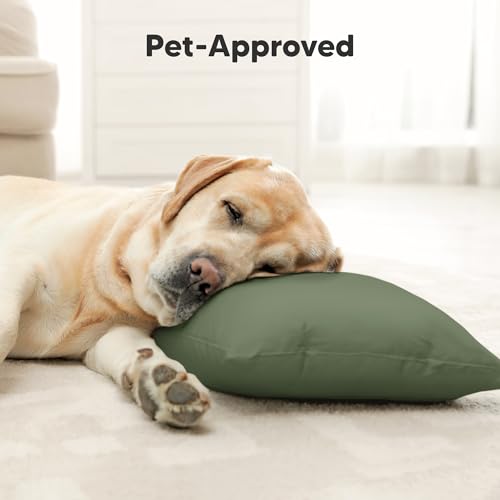 Toddler Pillow with Pillowcase