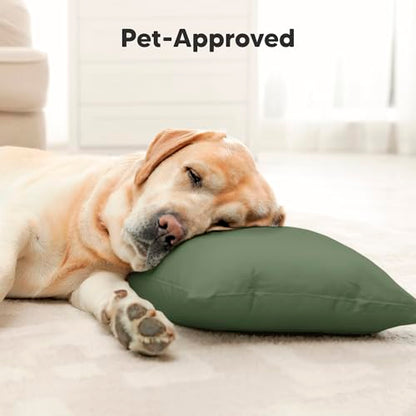 Toddler Pillow with Pillowcase