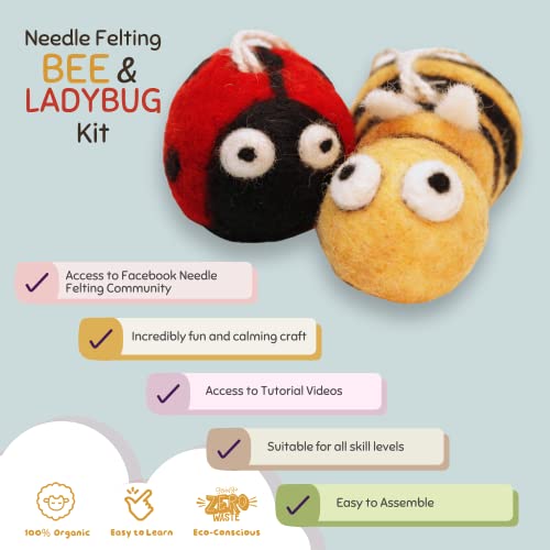 Needle Felting Starter Kit