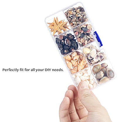 Premium Tiny Seashell Mix