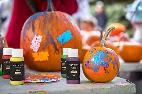 Outdoor Acrylic Paint Set (20 Fl Oz)