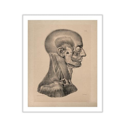 Vintage Science Canvas