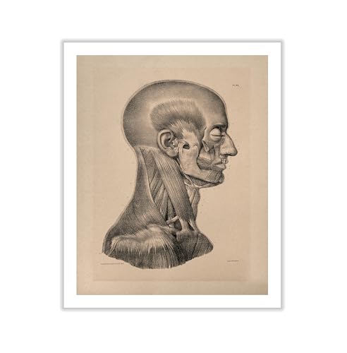 Vintage Science Canvas