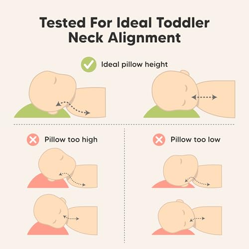 Toddler Pillow with Pillowcase