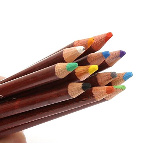12 Non toxic Professional Soft Pastel Pencils Drawing Sketches Colored Pencils For Drawing School Lapices De Colores Stationery (12 Count)