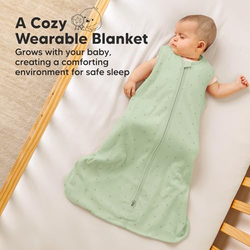 2 Pack Baby Sleep Sacks (2 Count)