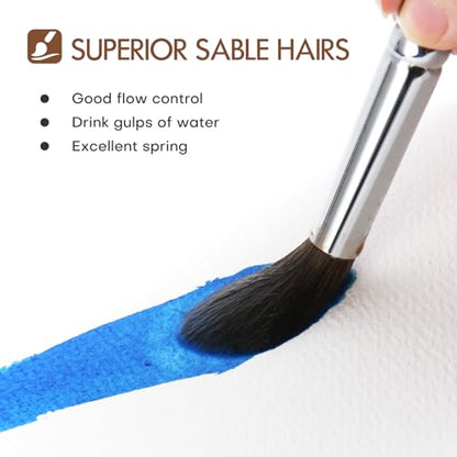 Sable Watercolor Brushes Professional (7 Count)