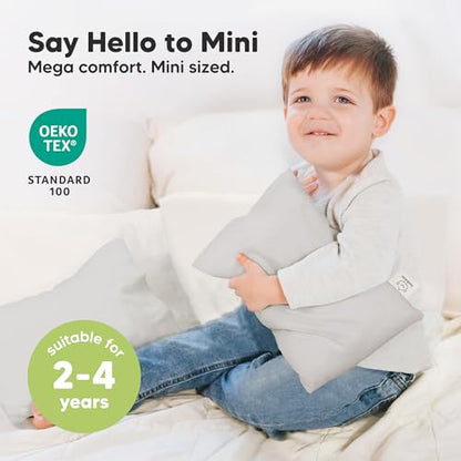 Mini Toddler Pillow with Pillowcase