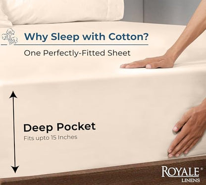 100% Organic Cotton Fitted Sheet