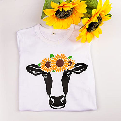 Black Heat Transfer Vinyl Roll 12" x12ft Matte HTV Vinyl
