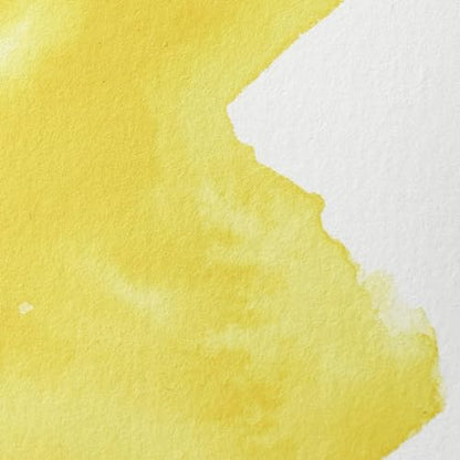 Professional Watercolor