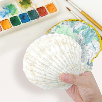 60PCS Scallop Shells for Crafts Large Beach Natural Shells Bulk for Decoupage DIY Crafts Seashell Decorations Home Decor White 4''