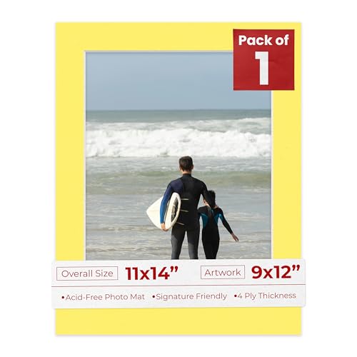 11x14 Mat Bevel Cut for 9x12 Photos