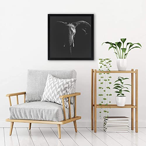 20x20 Poster Frame